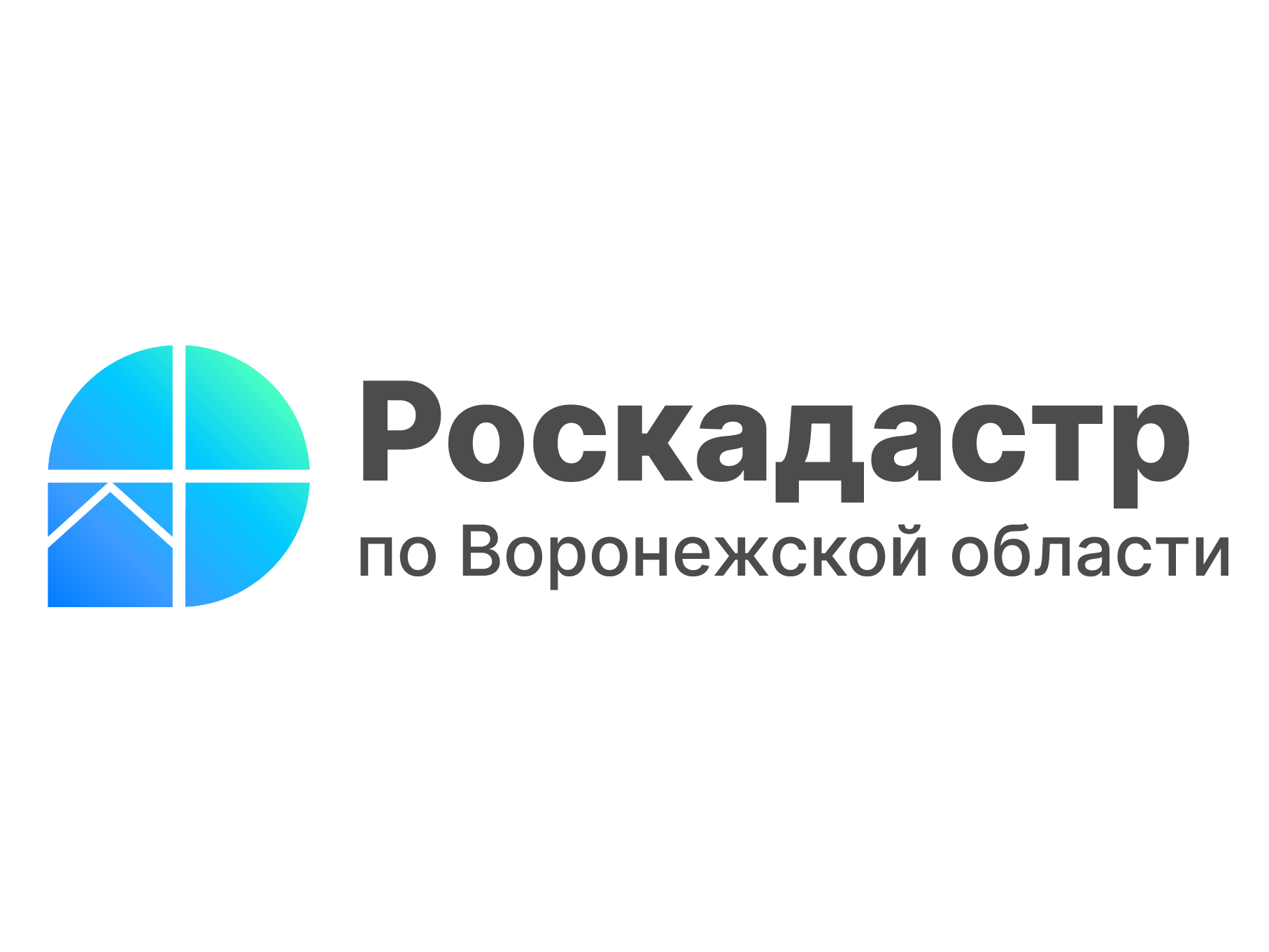 Воронежцам расскажут о новой выписке из ЕГРН.