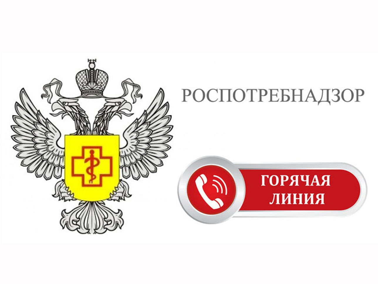 Роспотребнадзор открыл горячую линию.
