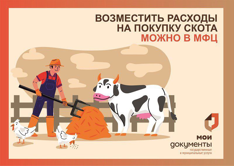 В МФЦ Воронежской области помогут возместить расходы на покупку скота для подсобного хозяйства.